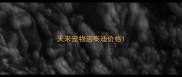 天来宠物店泰迪价格