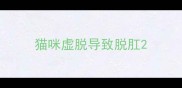 猫咪虚脱导致脱肛