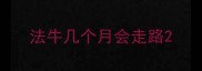 法牛几个月会走路