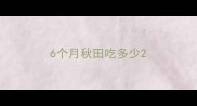 6个月秋田吃多少