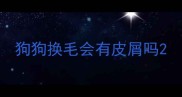 狗狗换毛会有皮屑吗