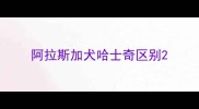 阿拉斯加犬哈士奇区别