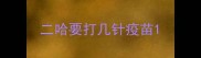 二哈要打几针疫苗
