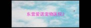 东营爱诺宠物医院