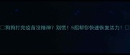 狗狗打完疫苗没精神别慌5招帮你快速恢复活力
