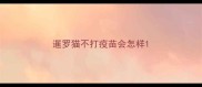 暹罗猫不打疫苗会怎样