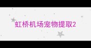 虹桥机场宠物提取