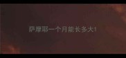 萨摩耶一个月能长多大