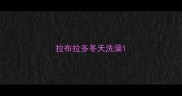 拉布拉多冬天洗澡