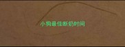 小狗最佳断奶时间