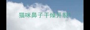 猫咪鼻子干燥开裂