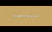 拉布拉多怎么是花舌