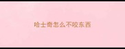 哈士奇怎么不咬东西