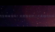 哈士奇真的没有味觉吗犬类感官的三大真相与科学养宠指南