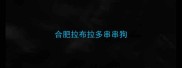 合肥拉布拉多串串狗