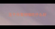 五个月雪纳瑞吃什么好