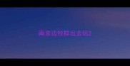 南京边牧群出去玩