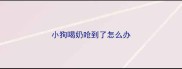 小狗喝奶呛到了怎么办