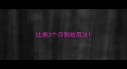 比熊2个月狗粮用法