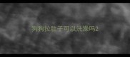 狗狗拉肚子可以洗澡吗