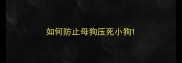 如何防止母狗压死小狗