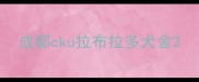成都cku拉布拉多犬舍