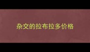 杂交的拉布拉多价格