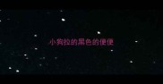 小狗拉的黑色的便便