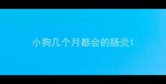 小狗几个月都会的肠炎