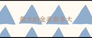 最大的金毛有多大