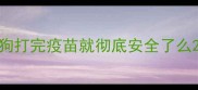 狗打完疫苗就彻底安全了么