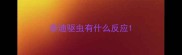 泰迪驱虫有什么反应