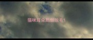猫咪耳朵局部脱毛