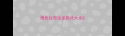 黑色拉布拉多照片大全