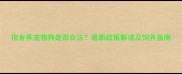 宿舍养宠物狗是否合法最新政策解读及饲养指南