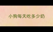 小狗每天吃多少奶