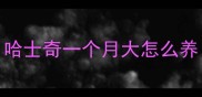 哈士奇一个月大怎么养
