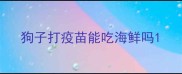 狗子打疫苗能吃海鲜吗