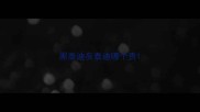 黑泰迪灰泰迪哪个贵