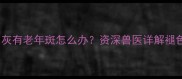 边境牧羊犬耳朵发灰有老年斑怎么办资深兽医详解褪色原因及养护方案
