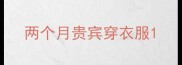 两个月贵宾穿衣服
