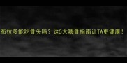 拉布拉多能吃骨头吗这5大喂骨指南让TA更健康