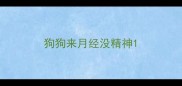 狗狗来月经没精神