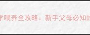 边境牧羊犬断奶期科学喂养全攻略新手父母必知的营养搭配与养护要点