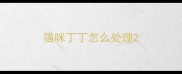 猫咪丁丁怎么处理