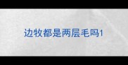 边牧都是两层毛吗