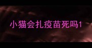 小猫会扎疫苗死吗