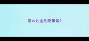 怎么让金毛吃米饭