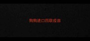 狗狗进口四联疫苗
