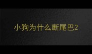 小狗为什么断尾巴